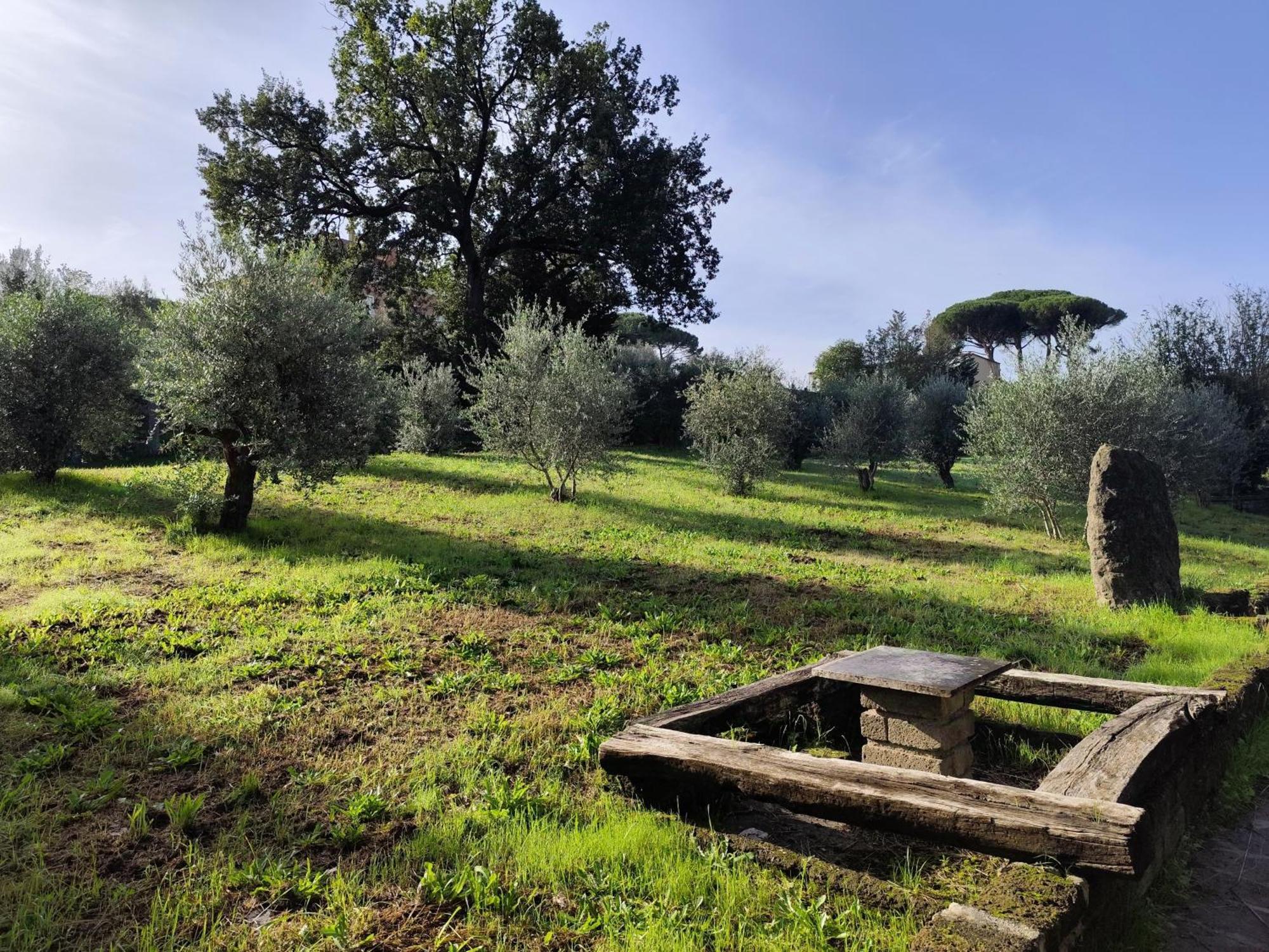 Green Hotel Poggio Regillo Frascati Dış mekan fotoğraf